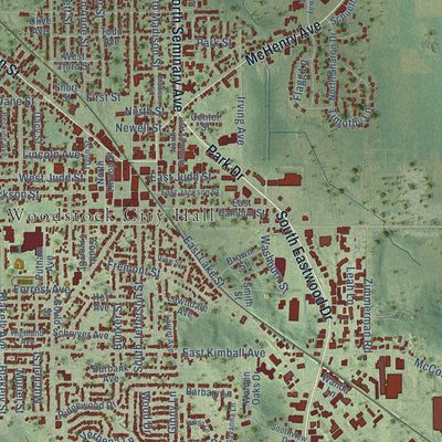 Close-up of the map of Woodstock, Illinois print showing street and building detail