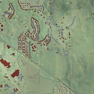 Second close-up of the map of Woodstock, Illinois print showing more streets and buildings