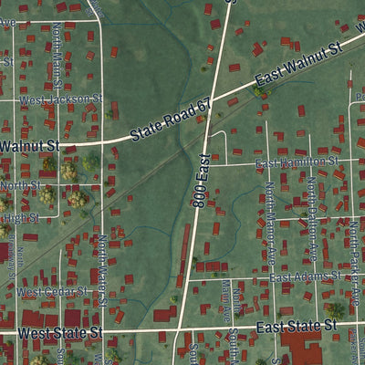 Close-up of the map of Albany, Indiana print showing street and building detail