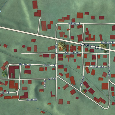 Close-up of the map of Cedar Grove, Indiana print showing street and building detail