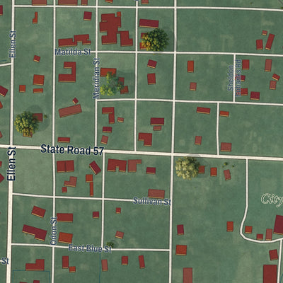 Close-up of the map of Elnora, Indiana print showing street and building detail