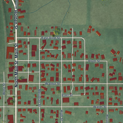 Close-up of the map of Linden, Indiana print showing street and building detail
