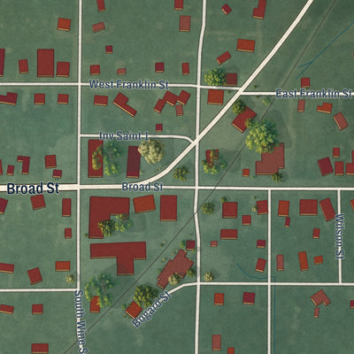 Close-up of the map of Lyons, Indiana print showing street and building detail