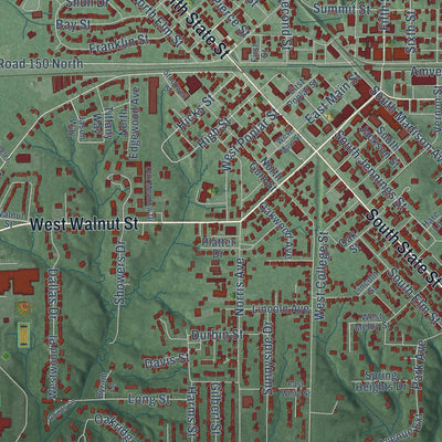 Close-up of the map of North Vernon, Indiana print showing street and building detail