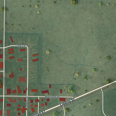 Second close-up of the map of Paragon, Indiana print showing more streets and buildings