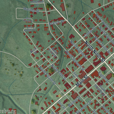 Close-up of the map of Petersburg, Indiana print showing street and building detail
