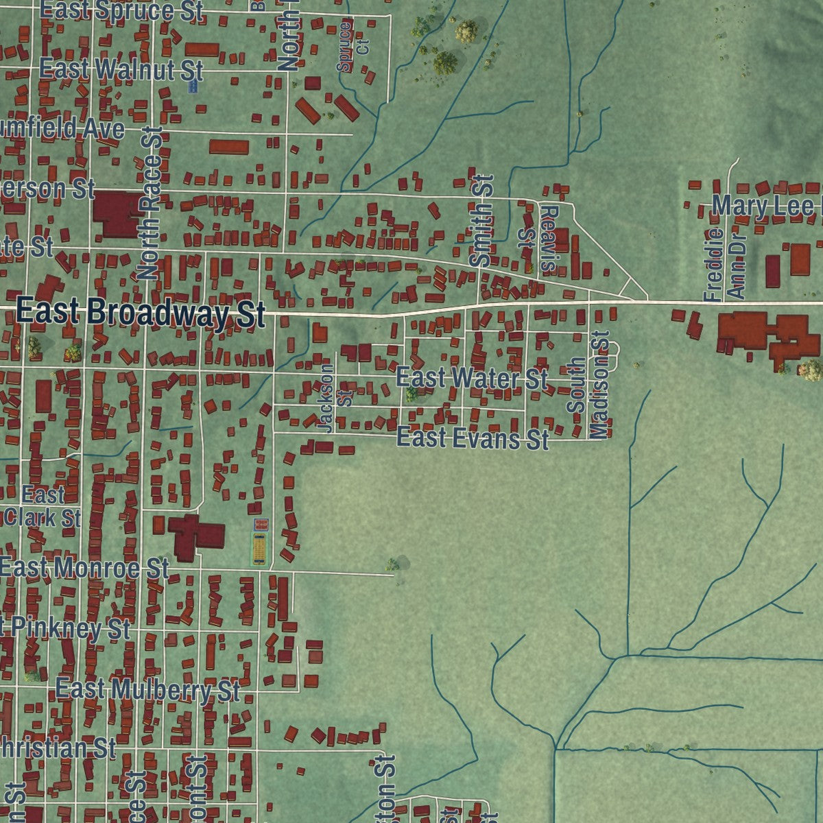 Close-up of the map of Princeton, Indiana print showing street and building detail