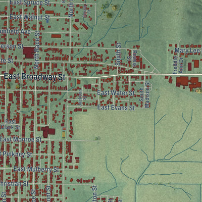 Close-up of the map of Princeton, Indiana print showing street and building detail