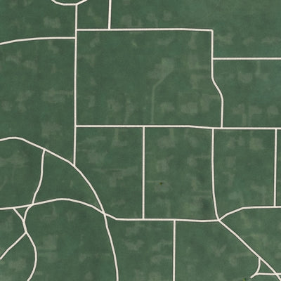 Close-up of the map of River Forest, Indiana print showing street and building detail