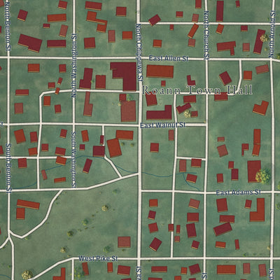 Close-up of the map of Roann, Indiana print showing street and building detail