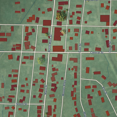 Close-up of the map of Rosedale, Indiana print showing street and building detail