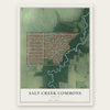 Salt Creek Commons, Indiana map print, the full design