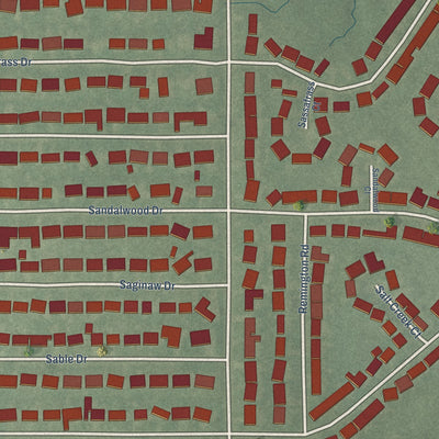 Close-up of the map of Salt Creek Commons, Indiana print showing street and building detail
