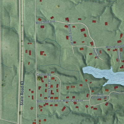 Close-up of the map of Tecumseh, Indiana print showing street and building detail