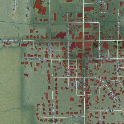 Close-up of the map of Wakarusa, Indiana print showing street and building detail