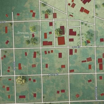Close-up of the map of Bronson, Kansas print showing street and building detail