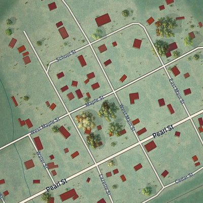 Close-up of the map of Cambridge, Kansas print showing street and building detail