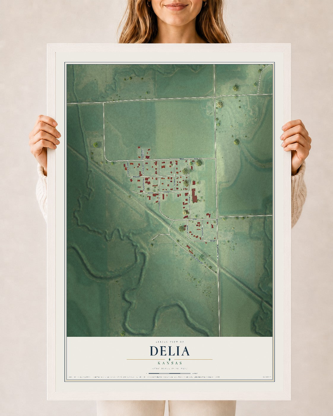 Map of Delia, Kansas, 24 x 36 inch print in a white wood frame