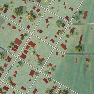 Close-up of the map of Dexter, Kansas print showing street and building detail