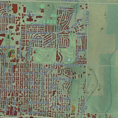 Close-up of the map of Dodge City, Kansas print showing street and building detail