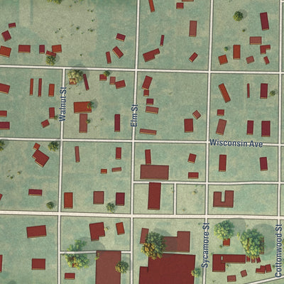 Close-up of the map of Healy, Kansas print showing street and building detail