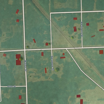 Close-up of the map of Labette, Kansas print showing street and building detail