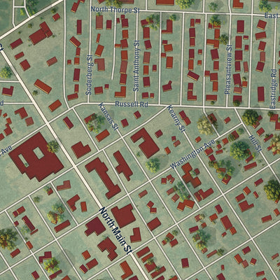 Close-up of the map of Lakin, Kansas print showing street and building detail