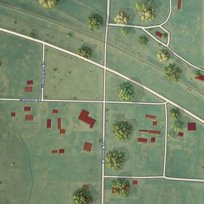 Close-up of the map of Ogallah, Kansas print showing street and building detail