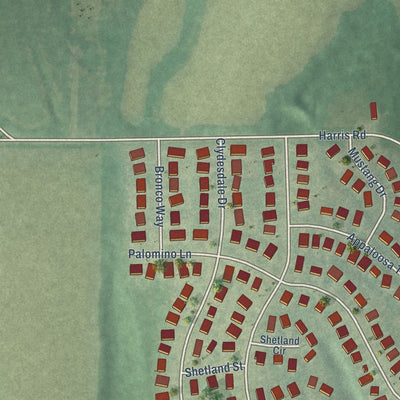 Second close-up of the map of Ogden, Kansas print showing more streets and buildings