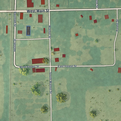 Close-up of the map of Savonburg, Kansas print showing street and building detail
