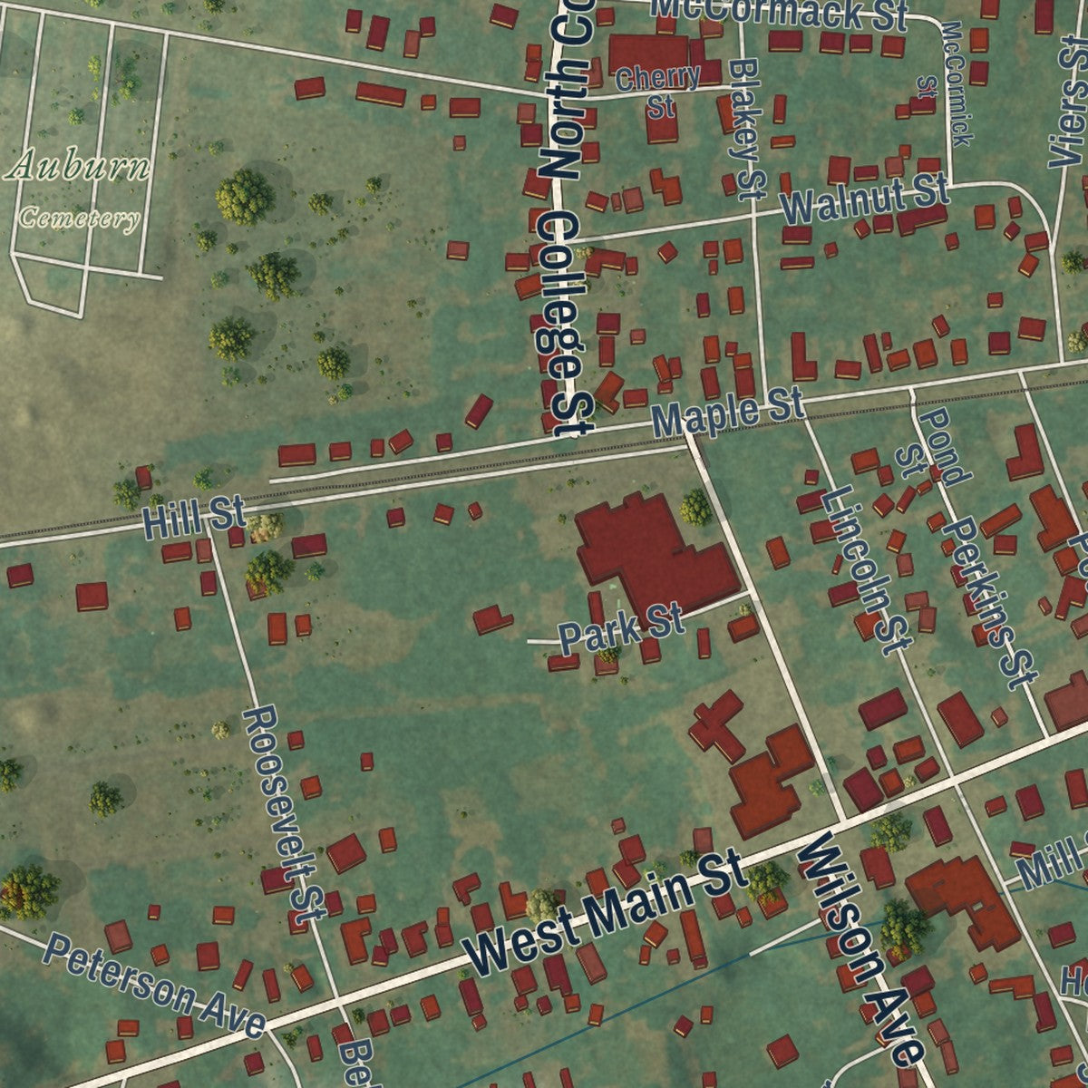Close-up of the map of Auburn, Kentucky print showing street and building detail