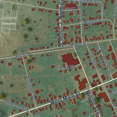 Close-up of the map of Auburn, Kentucky print showing street and building detail