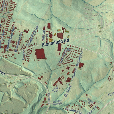 Second close-up of the map of Bardstown, Kentucky print showing more streets and buildings