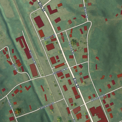 Close-up of the map of Bardwell, Kentucky print showing street and building detail