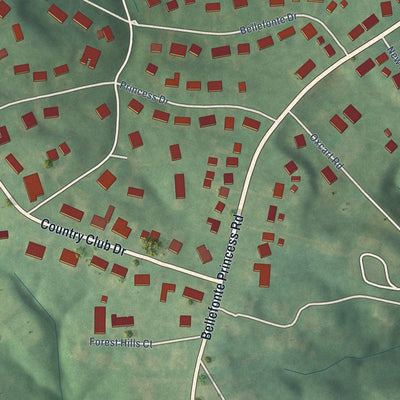 Close-up of the map of Bellefonte, Kentucky print showing street and building detail