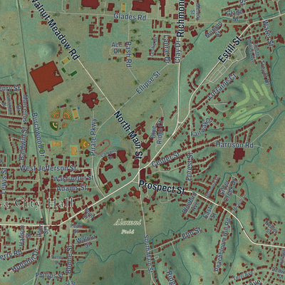 Close-up of the map of Berea, Kentucky print showing street and building detail