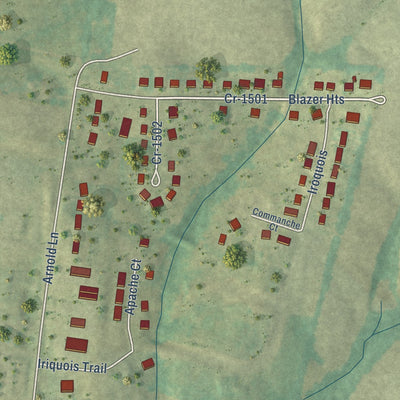 Close-up of the map of Bloomfield, Kentucky print showing street and building detail