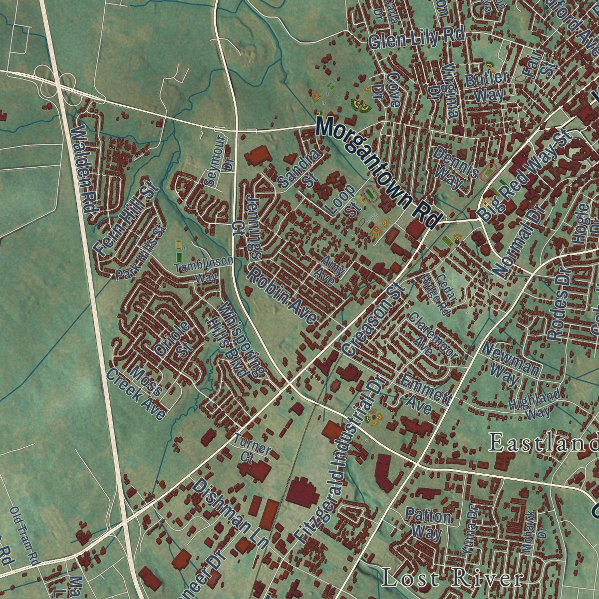 Close-up of the map of Bowling Green, Kentucky print showing street and building detail