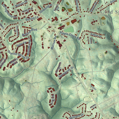Close-up of the map of Cold Spring, Kentucky print showing street and building detail