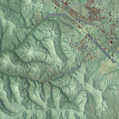 Close-up of the map of Coxs Creek, Kentucky print showing street and building detail