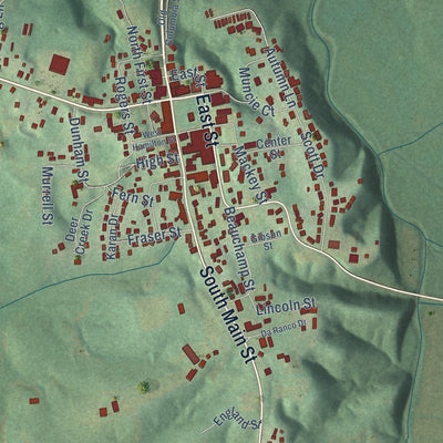 Close-up of the map of Edmonton, Kentucky print showing street and building detail
