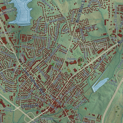 Close-up of the map of Elizabethtown, Kentucky print showing street and building detail