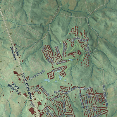 Second close-up of the map of Elizabethtown, Kentucky print showing more streets and buildings