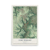 Map of Fort Wright, Kentucky, 12 x 18 inch unframed archival matte print