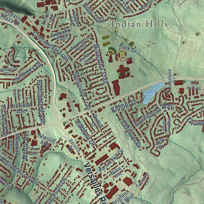 Close-up of the map of Frankfort, Kentucky print showing street and building detail