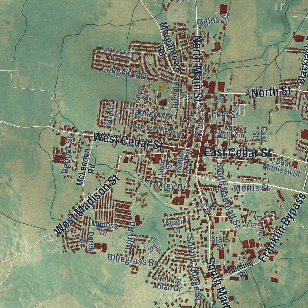 Close-up of the map of Franklin, Kentucky print showing street and building detail