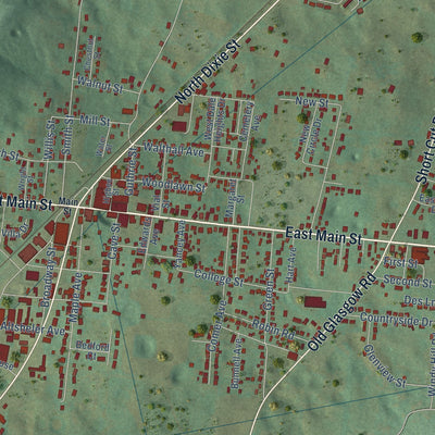 Close-up of the map of Horse Cave, Kentucky print showing street and building detail