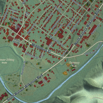Close-up of the map of Liberty, Kentucky print showing street and building detail