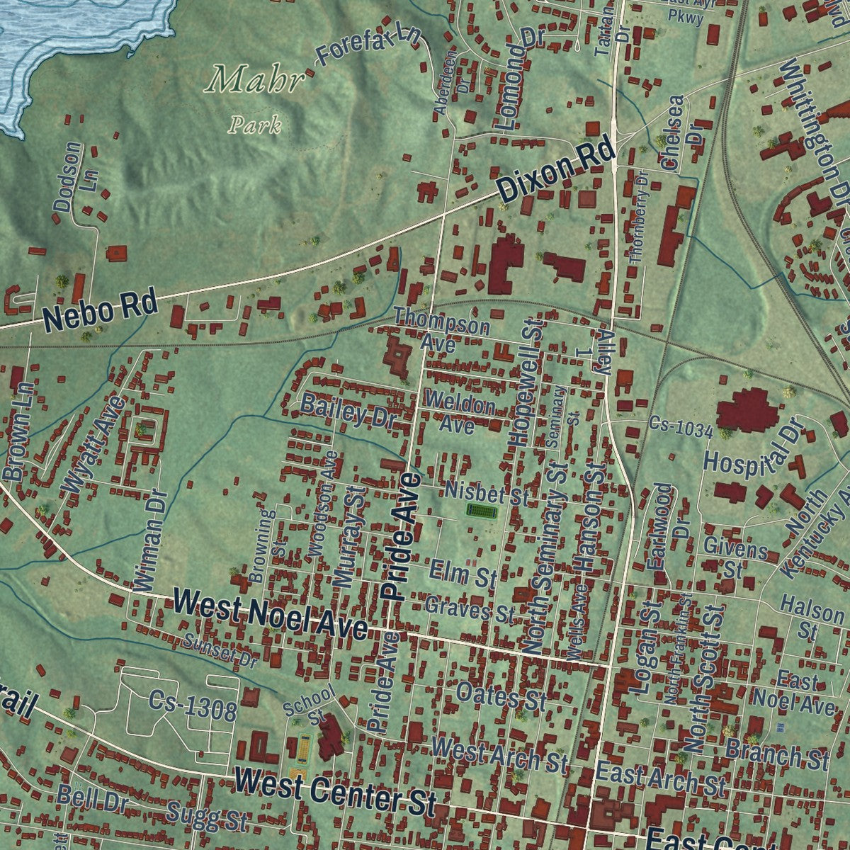 Close-up of the map of Madisonville, Kentucky print showing street and building detail