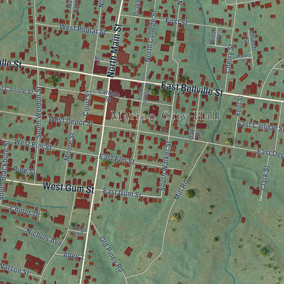 Close-up of the map of Marion, Kentucky print showing street and building detail